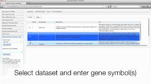Guides on alt codes for symbols, cool unicode characters, html this is the best place to copy and paste cool text symbols from! Canevolve Query Interface