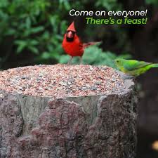 Natures Feast Wild Bird Squirrrel And Critter Feeder Tree Etsy In 2021 Free Standing Bird Feeders Wild Birds Herb Planters