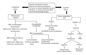 Diagnostic Flowchart For Hemolytic Diseases If The