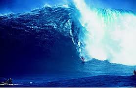 Cheyne Horan Web Site Surfing Waves Big Wave Surfing Surfers Paradise