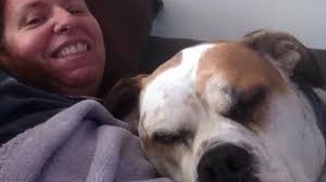 Fundraiser for Amber Linde by Shanna Brown : Help Steph fix Otto (and her  car)