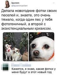 pin ot polzovatelya sasha jonfish na doske yumor veselye memy smeshnye memy shutki