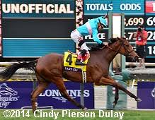 2014 Breeders Cup World Championships Results