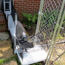 9.8'' h x 15'' w x 15'' d; How To Make A Outdoor Catio Or Cat Enclosure Howzoo