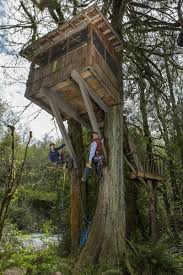 Maybe you would like to learn more about one of these? Animal Planet Has Designs For Treehouse Masters