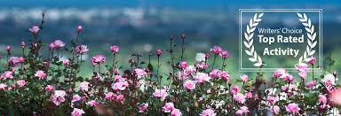 Chart Farm Roses And Farm Stall Near Wynberg Cape Town