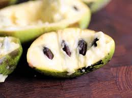 Paw paw trees are grown throughout the united states and have been cultivated by humans for hundreds of years. Pawpaws America S Best Secret Fruit
