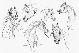 Your current browser isn't compatible with soundcloud. A Sketch Study Of The Arabian Face The Magic Is In The Eyes Arabian Essence Tv