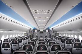 Reservations requiring travel partially on other airlines domestically or international travel must be. American Airlines Changes Emotional Support Animal Rules Travelpulse