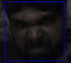 Automating the Human Resource System