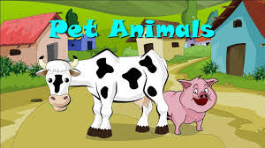 Sometimes the name of another species just fits best. Pet Animals Name In Hindi And English à¤ª à¤²à¤¤ à¤œ à¤¨à¤µà¤° à¤• à¤¨ à¤®