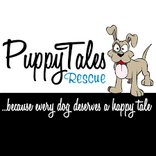 Great sites have second chance pets are listed here. Second Chance Animal Rescue Inc Home Facebook