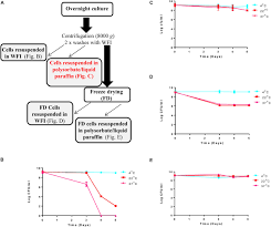 frontiers a live bio therapeutic for mastitis containing