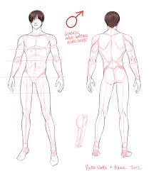 Collection by darlene rogan • last updated 8 weeks ago. General Male Anatomy Visual Guide Brought To You By Hello Santa Rhiou This I Figure Drawing Reference Body Reference Drawing Body Drawing Tutorial