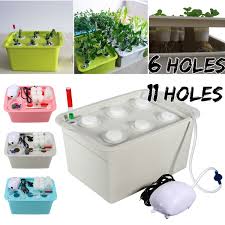 Hydroponics Seed Starting 12 Holes Plant Site Hydroponic System Grow Kit Bubble Indoor Garden Cabinet Box Garden Patio Tohoku Morinagamilk Co Jp
