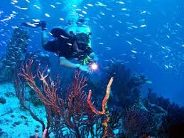 Scuba Diving In Miami Florida Explore Travel Ocean Inspiration Diving
