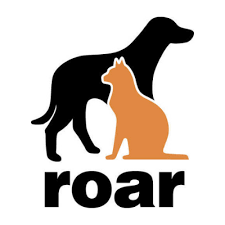 Courtyard by marriott waterbury downtown. Connecticut Dog And Cat Rescues Ct Dog Walking And Pet Sitting Rco Pet Care Also Serving Oxford Southbury And Watertown Areas