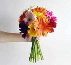 One dozen christmas tulips srp $39.99 $31.99. Sunkissed Gerbera Bouquet Gerbera Daisy Bouquet Gerbera Bouquet Daisy Bouquet