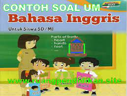 Contoh soal ujian madrasah bahasa inggris. Contoh Soal Ujian Madrasah Um Bahasa Inggris Jenjang Mi Ruang Pendidikan