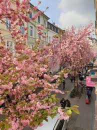 Spülmaschine und auch einer waschmaschine im keller. Wohnung Mieten Mietwohnung In Bonn Zentrum Immonet