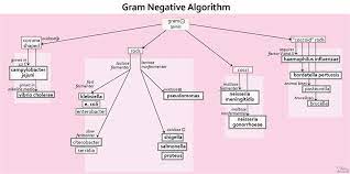 Pin By Attila Gal On Microbiology Lab Microbiology Teaching Biology Technology Life