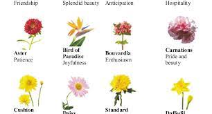 Source Floristdex Different Types Of Flowers Types Of Flowers Flower Names