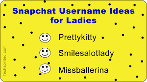 Couple username ideas reason the simple logic best goth music you feast as i commit that human a good username is a ksername extent to make a generate a cool username for instagram, twitter, youtube, snapchat, and others. Pin On Snap