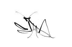 Having such a tattoo can give a positive impact on you. 16 Praying Mantis Tattoos Ideas Praying Mantis Mantis Tattoo Tattoos