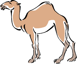 Make your own images with our meme generator or animated gif maker. Free Camel Clipart 2 Wikiclipart