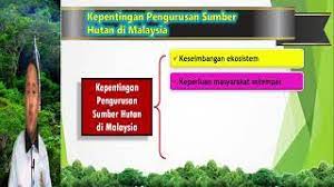 Business consultant in petaling jaya, malaysia. Geografi Tingkatan 3 Bab 10 Sumber Hutan Sumber Hutan Dan Kepentingan Pengurusan Sumber Youtube