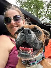 Relationship between Lulu and Marlee dogs