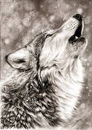 Easy techniques for drawing people, animals and more. 40 Realistic Animal Pencil Drawings Pencil Drawings Of Animals Animal Drawings Wolf Howling
