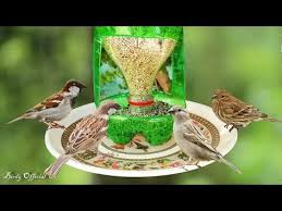 Bird Feeders For Small Birds Pin On Birdfeeder