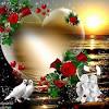 Flowers are the best to show your love affection and passion towards other person it is very beautiful pink beautiful flower hd wallpaper for free download. 1