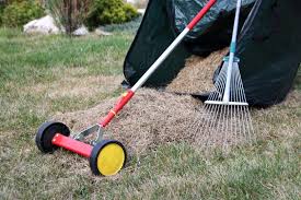 There are two ways to get rid of the thatch and this article discusses them both. 4 Types Of Lawn Damage And How To Fix Them Diy True Value Projects True Value