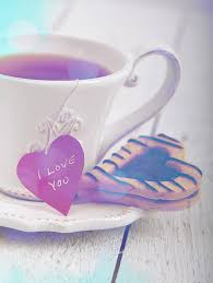 See a recent post on tumblr from @iliveinaworldofpaper about sei il mio sole anche di notte. Recensione A Sei Il Mio Sole Anche Di Notte Di Amy Harmon Blog Le Tazzine Di Yoko