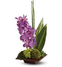 We did not find results for: Tfweb646 Teleflora S Bamboo Tranquility