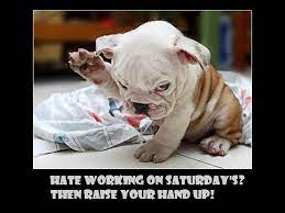 Are you looking for weekend quotes funny? Quotes About Work On Saturday 46 Quotes