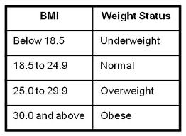 Weight Management And Bmi Nutrition And Health Status In