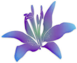 The original size of the image is 2400 × 1648 px and the original resolution is 300 dpi. Download Fiori Viola Png Png Image With No Background Pngkey Com