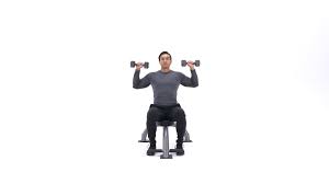 Bend down with your knees to pick up the dumbbells. Seated Dumbbell Press Exercise Videos Guides Bodybuilding Com