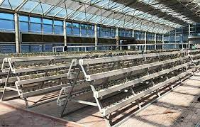 Nft Hydroponic Channel Hydroponics Smart Farm Gutters