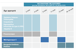 La vaccination obligatoire pour les soignants sur la table. Le Point Sur La Vaccination Obligatoire Sante Politiques Publiques Accueil Les Services De L Etat Dans L Eure