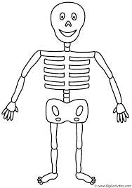This worksheet includes a coloring page for students to create a key and color in the skeleton so they can individually identify what category each bone falls into. Skeleton Coloring Page Halloween