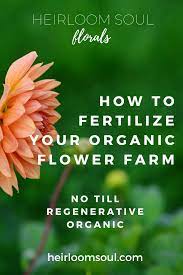 When selecting the best fertilizer for indoor plants there are several choices. Organic Fertilizers Soil Amendments For A Cut Flower Farm Garden Heirloom Soul Florals Wedding Florist And Flower Farm In Buffalo Ny Wny