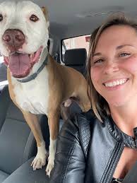 Found friendly dog in East Wenatchee