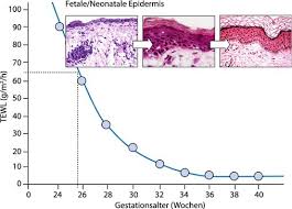 1 résultat mélanose pustuleuse néonatale transitoire l.f. Neonatale Dermatologie Springerlink
