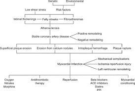 pathophysiology of myocardial infarction and acute