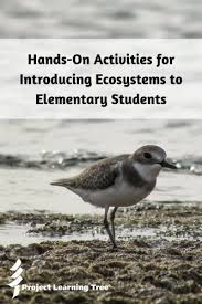 Write a word or draw a picture on the board (e.g. Hands On Activities For Introducing Ecosystems To Elementary Students Project Learning Tree
