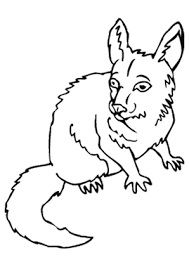 Ausmalbild Wilde Maus Zum Ausdrucken
